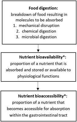 Does sourdough bread provide clinically relevant health benefits?